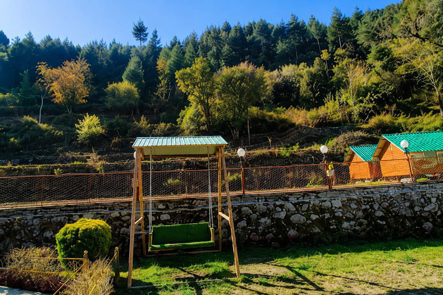 Deodar Dream Gallery 1
